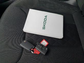 Skoda Kamiq 1.0 TSI Sport Business Automaat picture 30