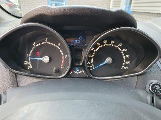 Ford Fiesta 1.6 TDCi Lease Titanium picture 19