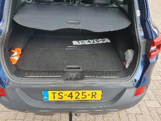 Renault Kadjar 1.2 TCe Bose picture 29