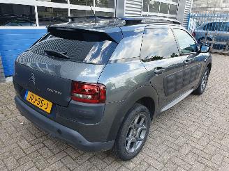 Citroën C4 cactus 1.2 PureTech W picture 5