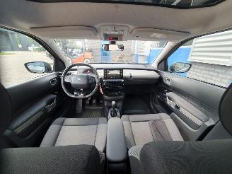 Citroën C4 cactus 1.2 PureTech W picture 17