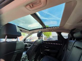 Hyundai Tucson 1.6 T-GDI PHEV Comfort Smart 4WD picture 31