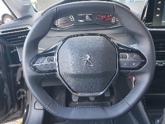 Peugeot 208 1.2 PureTech Active Pack picture 20