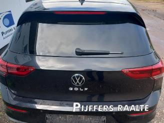 Volkswagen Golf Golf VIII (CD1), Hatchback, 2019 2.0 TDI BlueMotion 16V picture 18