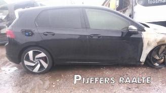 Volkswagen Golf Golf VIII (CD1), Hatchback, 2019 2.0 TDI BlueMotion 16V picture 2