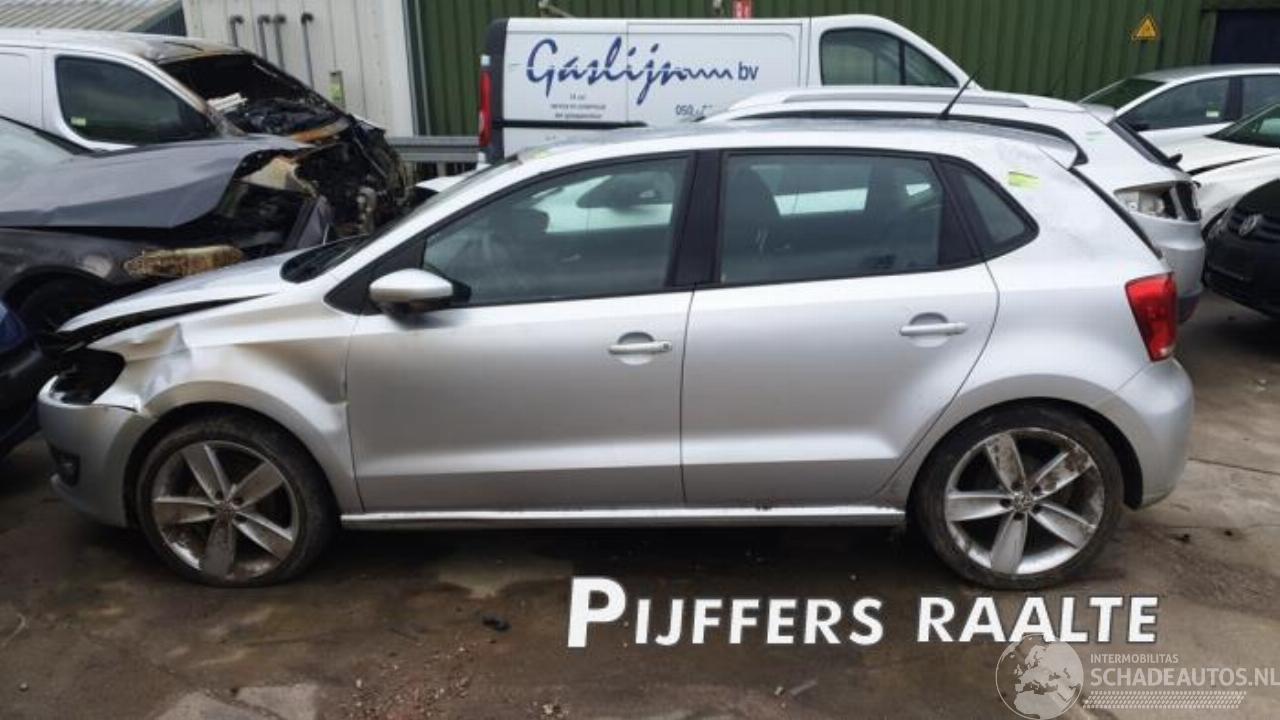 Volkswagen Polo Polo V (6R), Hatchback, 2009 / 2017 1.4 16V