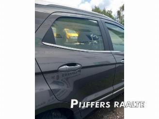 Ford EcoSport EcoSport (JK8), SUV, 2013 / 2022 1.0 EcoBoost 12V 125 picture 16