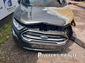 Ford EcoSport EcoSport (JK8), SUV, 2013 / 2022 1.0 EcoBoost 12V 125 picture 7