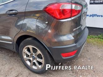 Ford EcoSport EcoSport (JK8), SUV, 2013 / 2022 1.0 EcoBoost 12V 125 picture 14