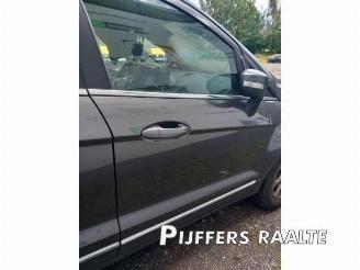 Ford EcoSport EcoSport (JK8), SUV, 2013 / 2022 1.0 EcoBoost 12V 125 picture 18