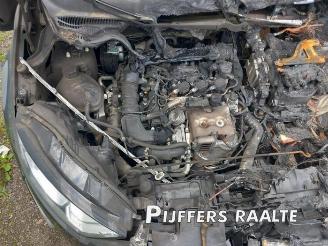 Ford EcoSport EcoSport (JK8), SUV, 2013 / 2022 1.0 EcoBoost 12V 125 picture 21