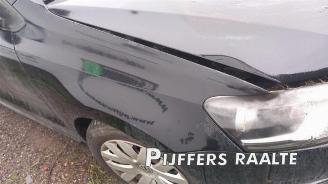 Volkswagen Polo Polo V (6R), Hatchback, 2009 / 2017 1.2 TSI picture 15