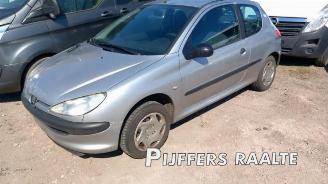 rozbiórka samochody osobowe Peugeot 206 206 (2A/C/H/J/S), Hatchback, 1998 / 2012 1.1 XN,XR 2001/1