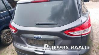 Ford Kuga Kuga II (DM2), SUV, 2012 2.0 TDCi 16V 140 picture 11