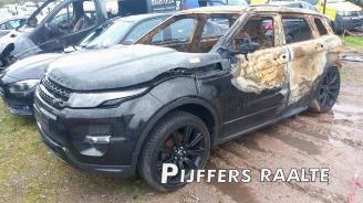 Land Rover Range Rover Range Rover Evoque (LVJ/LVS), SUV, 2011 / 2019 2.2 TD4 16V 5-drs. picture 2
