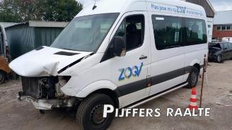 Coche accidentado Mercedes Sprinter Sprinter 3,5t (906.73), Bus, 2006 / 2020 316 NGT 2016/8