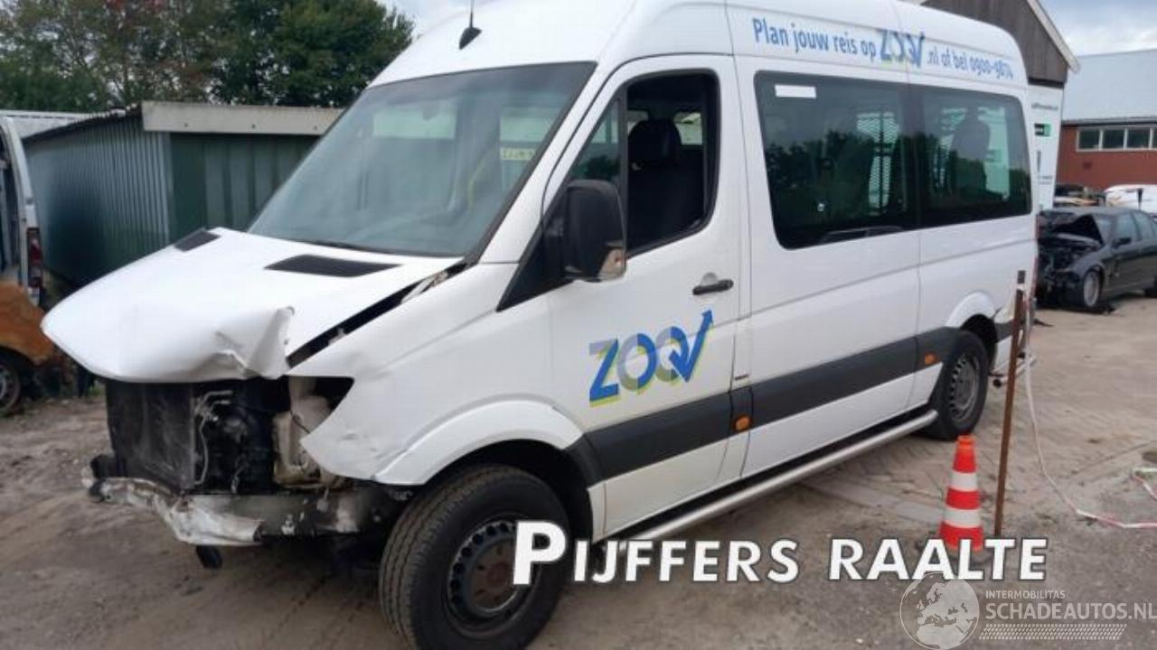 Mercedes Sprinter Sprinter 3,5t (906.73), Bus, 2006 / 2020 316 NGT