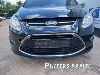 Ford Grand C-Max Grand C-Max (DXA), MPV, 2010 / 2019 1.0 Ti-VCT EcoBoost 12V 125 picture 9