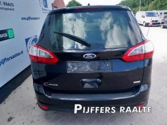 Ford Grand C-Max Grand C-Max (DXA), MPV, 2010 / 2019 1.0 Ti-VCT EcoBoost 12V 125 picture 12
