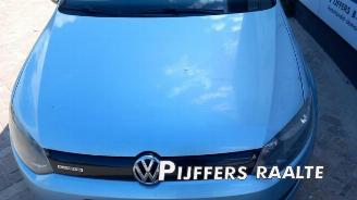 Volkswagen Polo Polo V (6R), Hatchback, 2009 / 2017 1.2 TDI 12V BlueMotion picture 13