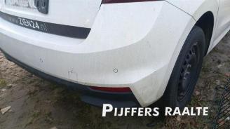 Skoda Fabia Fabia IV (PJ3), Hatchback 5-drs, 2021 1.0 TSI 12V picture 20