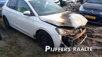 Skoda Fabia Fabia IV (PJ3), Hatchback 5-drs, 2021 1.0 TSI 12V picture 8