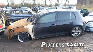 disassembly passenger cars Volkswagen Golf Golf VII (AUA), Hatchback, 2012 / 2021 1.5 TSI Evo BlueMotion 16V 2018/1