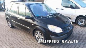 Renault Grand-scenic Grand Scenic II (JM), MPV, 2004 / 2009 2.0 16V picture 2