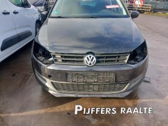 Volkswagen Polo Polo V (6R), Hatchback, 2009 / 2017 1.6 TDI 16V 105 picture 3