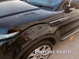 Land Rover Range Rover Evoque Range Rover Evoque (LVJ/LVS), SUV, 2011 / 2019 2.2 TD4 16V picture 10