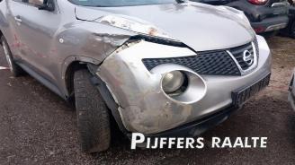 Nissan Juke Juke (F15), SUV, 2010 / 2019 1.6 16V picture 2