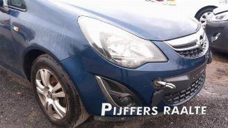 Opel Corsa Corsa D, Hatchback, 2006 / 2014 1.3 CDTi 16V ecoFLEX picture 9