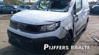 Opel Combo Combo Cargo, Van, 2018 1.5 CDTI 100 picture 3