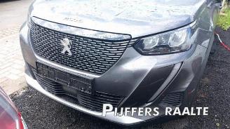 Peugeot 2008 2008 (UD/UK/UR/US/UX), MPV, 2019 1.2 VTi 12V PureTech 130 picture 5