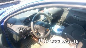 Peugeot 206 206 SW (2E/K), Combi, 2002 / 2007 1.6 16V picture 7