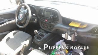 Fiat Doblo Doblo Cargo (263), Van, 2010 1.6 D Multijet picture 14