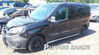 Fiat Doblo Doblo Cargo (263), Van, 2010 1.6 D Multijet picture 4