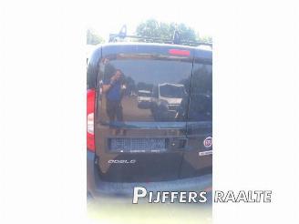 Fiat Doblo Doblo Cargo (263), Van, 2010 1.6 D Multijet picture 10