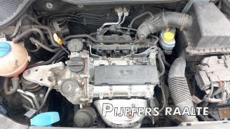 Volkswagen Polo Polo V (6R), Hatchback, 2009 / 2017 1.2 12V picture 16