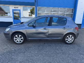 Peugeot 307 2.0-16V XS picture 9