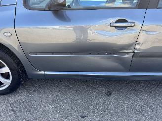 Peugeot 307 2.0-16V XS picture 10
