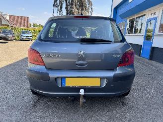 Peugeot 307 2.0-16V XS picture 7