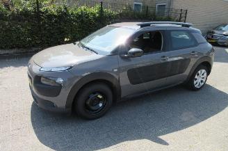 Citroën C4 cactus 1.2 Pure Tech picture 6