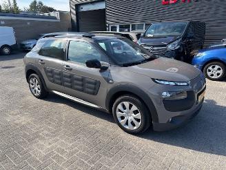Citroën C4 cactus 1.2 PureTech Clima picture 2