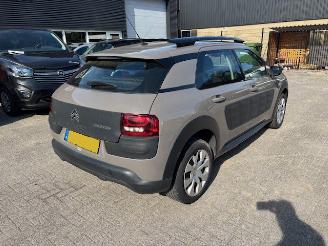 Citroën C4 cactus 1.2 PureTech Clima picture 3