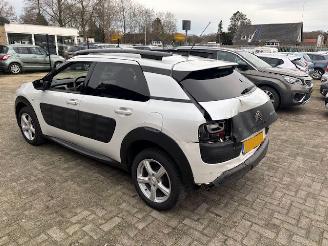 Citroën C4 cactus 1.6 HDI Limited Plus Pano picture 4