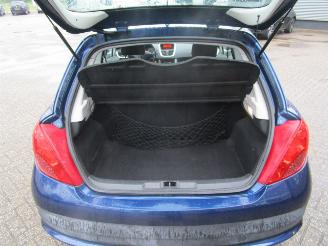 Peugeot 207 1.6-16V XS picture 16