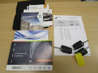 Skoda Fabia Combi 1.0 TSI Ambition picture 32