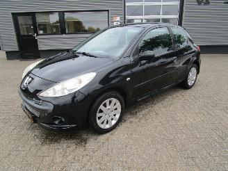 Vaurioauto  passenger cars Peugeot 206+ 1.4 XS 2009/8