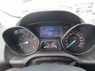 Ford Kuga 1.5 Titanium Styling Pack picture 18